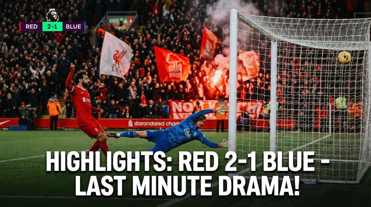 开云体育体育解说